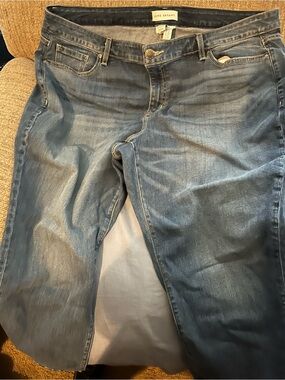 Lane Bryant Faded Blue Straight-Leg Jeans